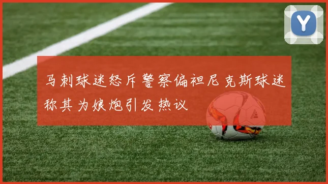 马刺球迷怒斥警察偏袒尼克斯球迷称其为娘炮引发热议