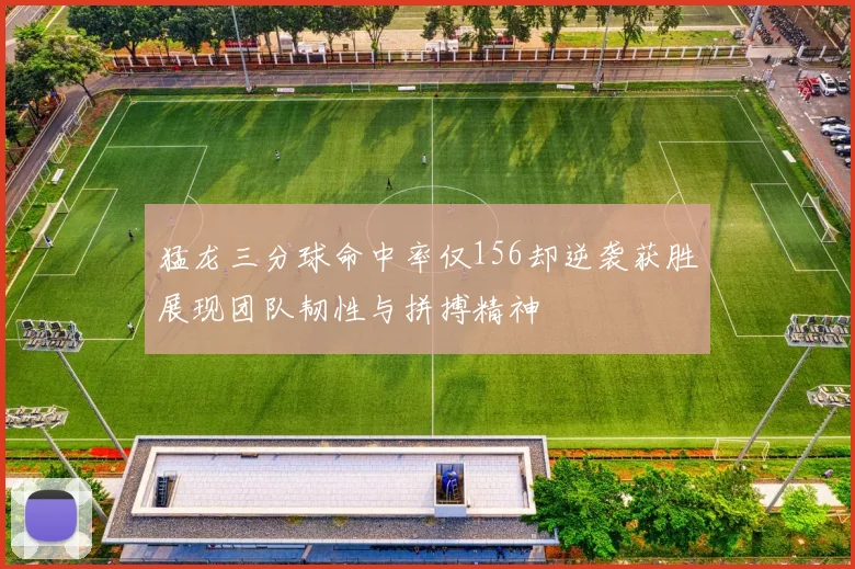 猛龙三分球命中率仅156却逆袭获胜展现团队韧性与拼搏精神
